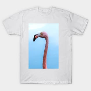 Flamingo T-Shirt